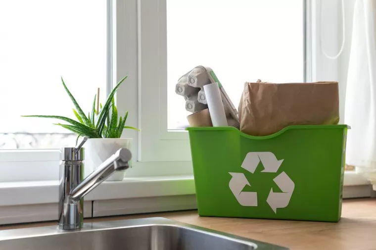 Réalisation d'audit pour la collecte des biodéchets en entreprise, Nice, WASTEWIZE ALBA (WASTEWIZE)